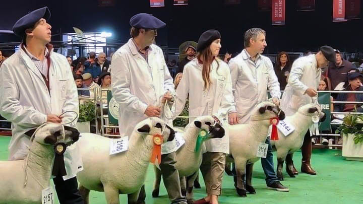 El IPEA 291 volvió a destacar en la Rural de Palermo